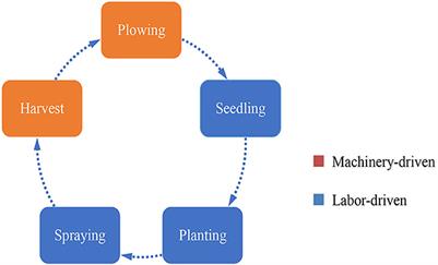 The impact of market-oriented cooperation on food production performance in small-scale farms in rural China